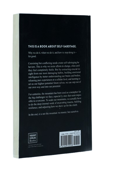 The Mountain Is You: Transforming Self-Sabotage Into Self-Mastery Paperback – 1 January 2021